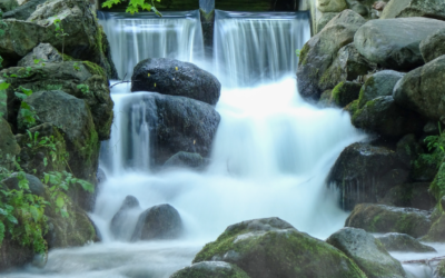 Mapping a Real Customer Journey