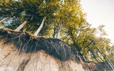 The Cost of Standing Still With Legacy Systems