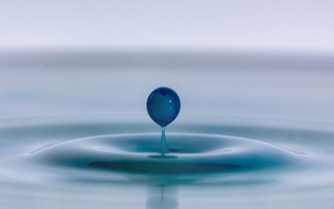 Digital Maturity: Is Your Business Built to Scale?