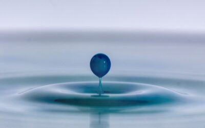 Digital Maturity: Is Your Business Built to Scale?